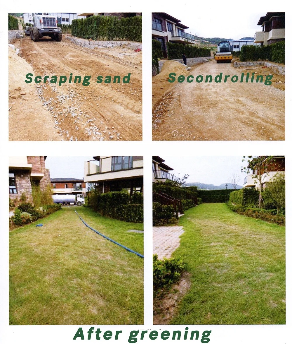 product-1000-1175