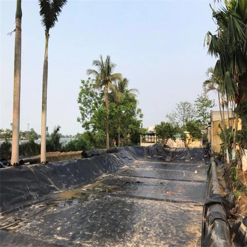 Artificial Lake Geomembrane