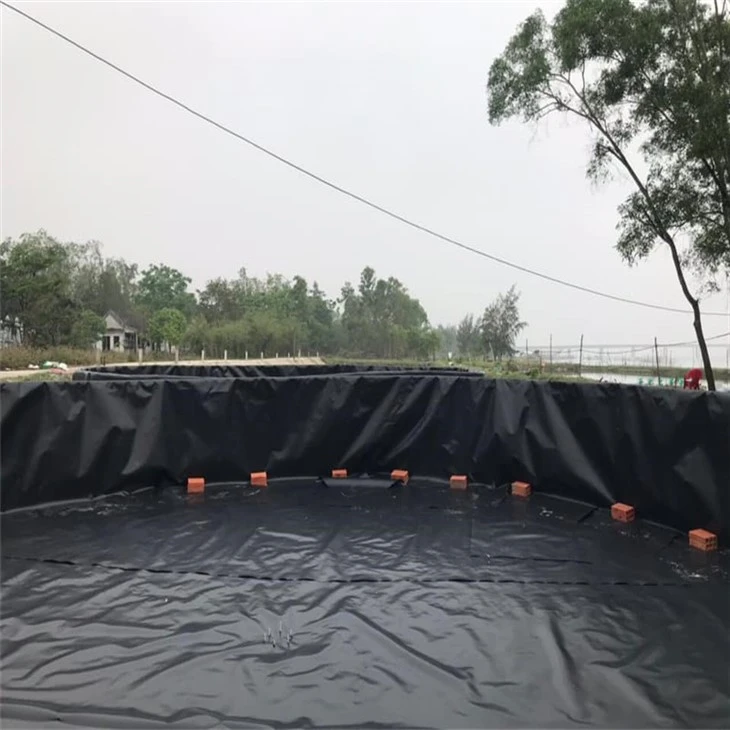 geomembrane (30)