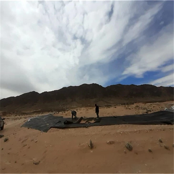 hdpe pond liner (35)