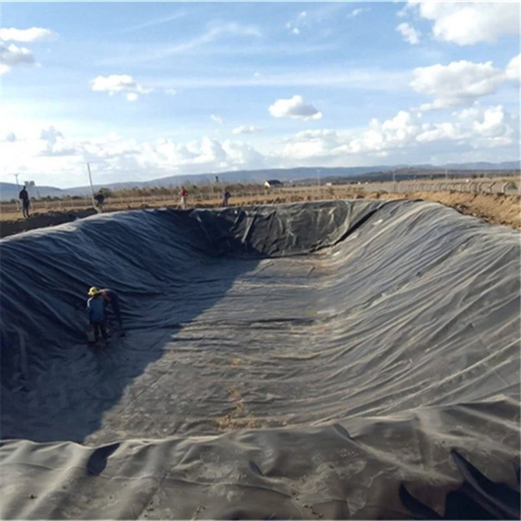hdpe pond liner (34)