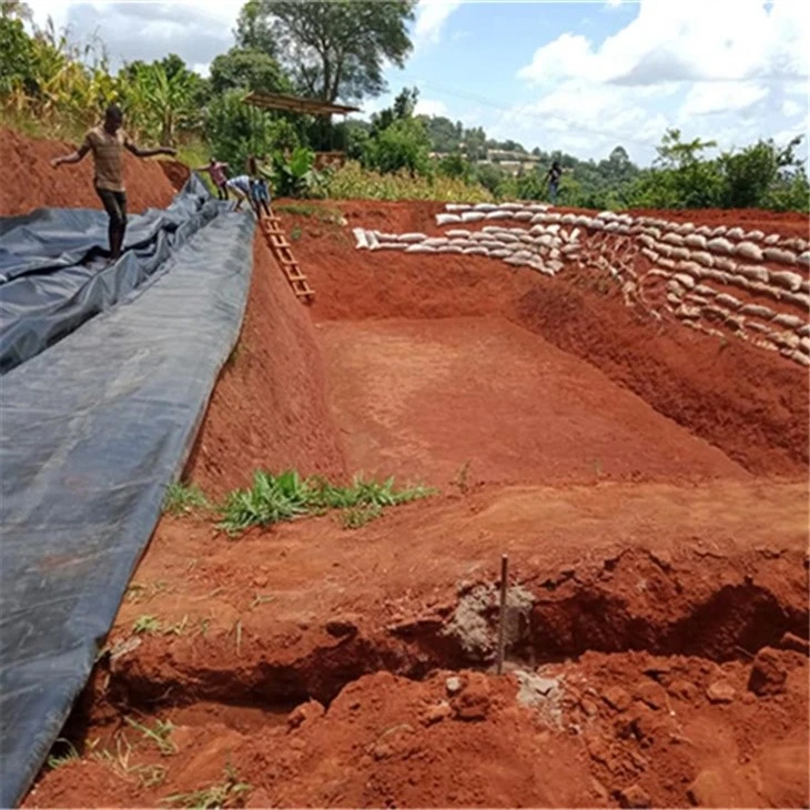 hdpe pond liner (3)