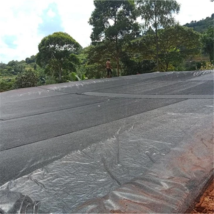 hdpe pond liner (4)