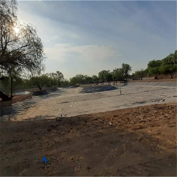hdpe pond liner (28)