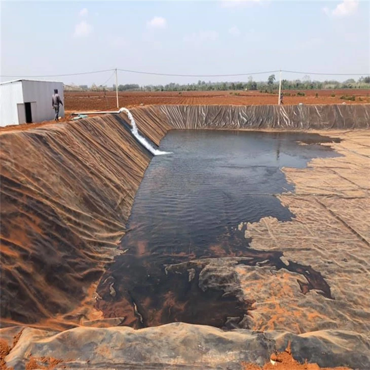 geomembrane (5)