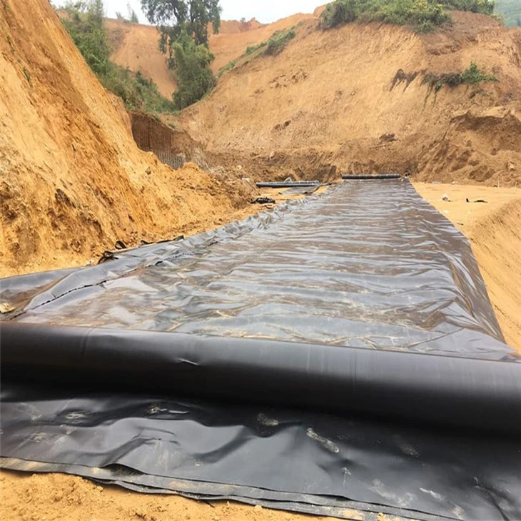 geomembrane (2)