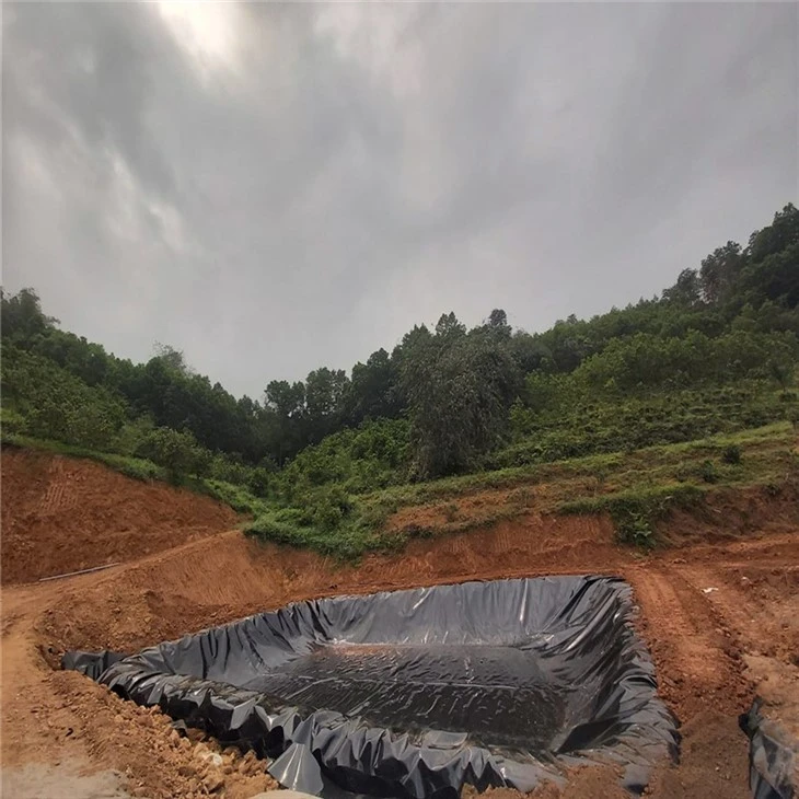 geomembrane (8)