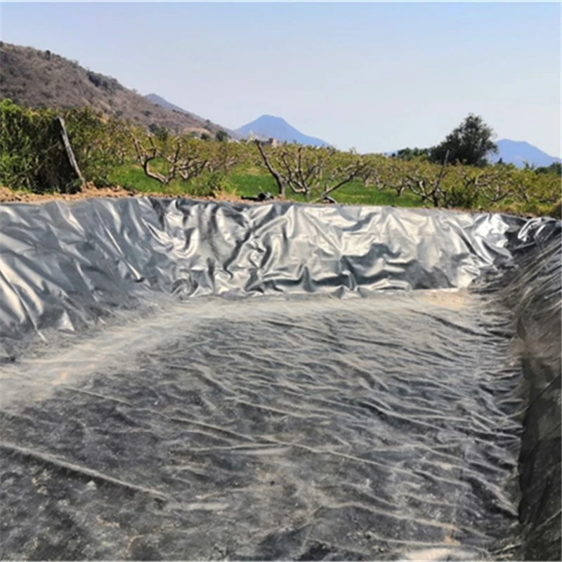 Rough Geomembrane