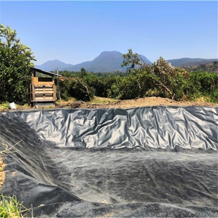 hdpe pond liner (7)