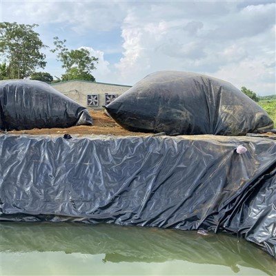 Geocomposite Drainage Membrane Geocomposite Drainage Membrane