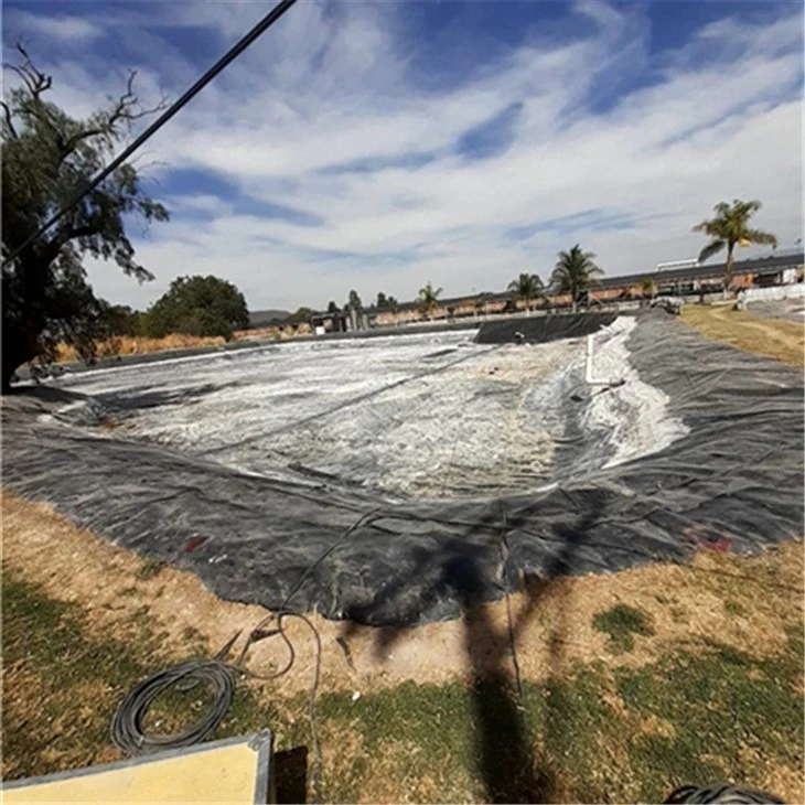 hdpe pond liner (38)