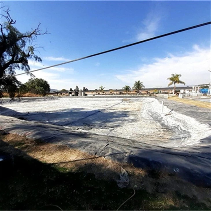 hdpe pond liner (39)