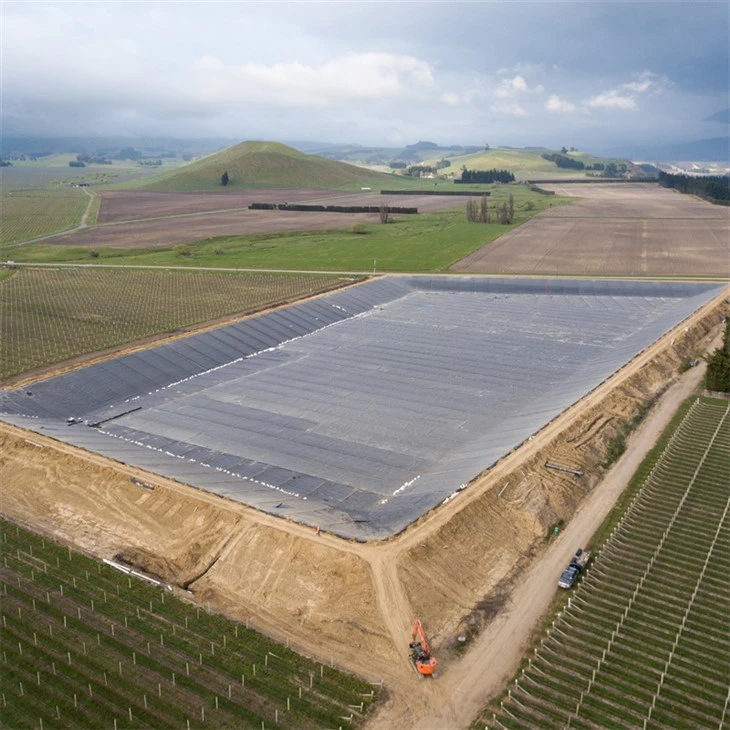 Hdpe Sheet Geomembrane