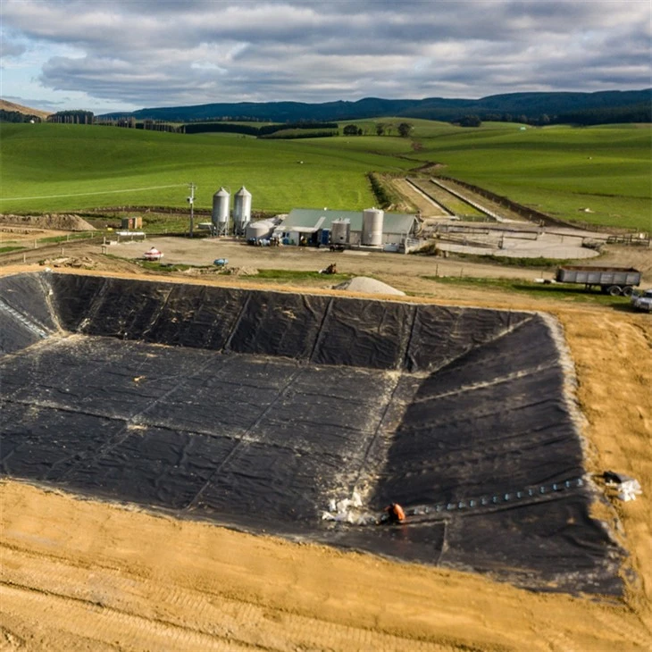 Hdpe Sheet Geomembrane
