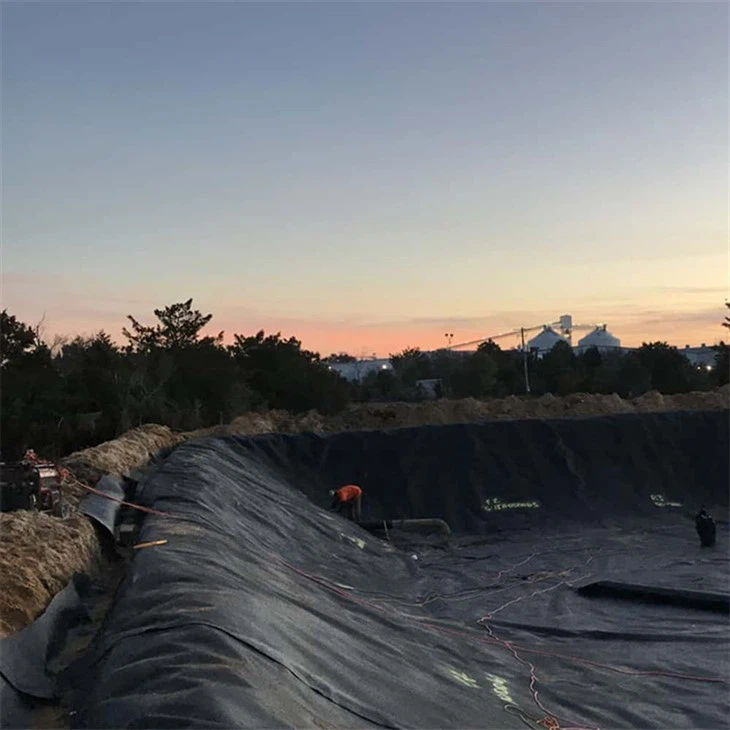 RAS System Geomembrane Tank Liner high quality