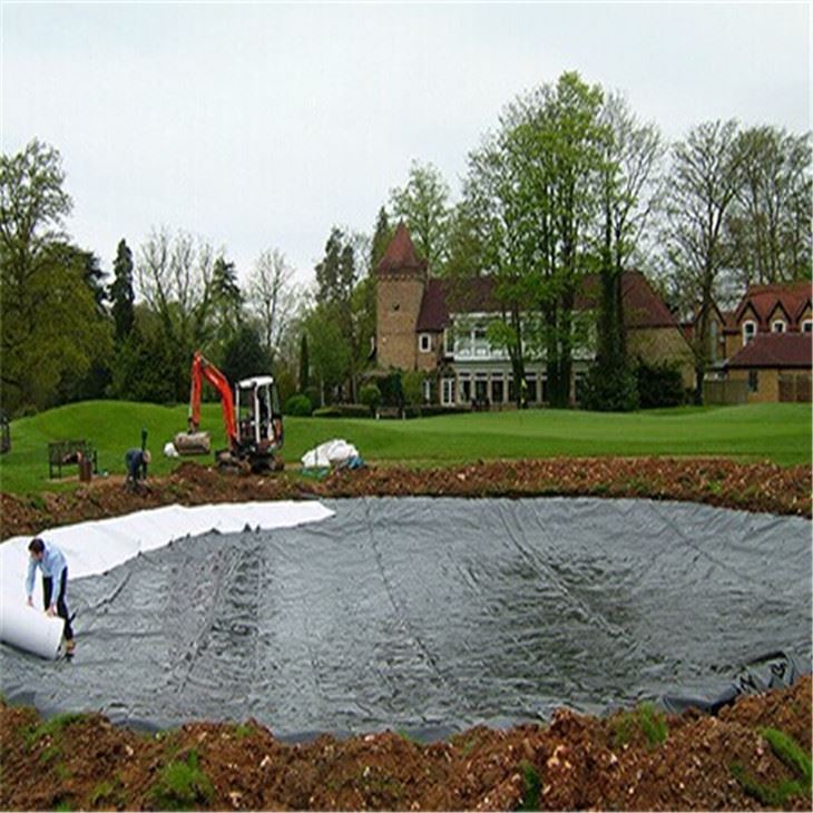 Waterproofing Geomembrane Liner