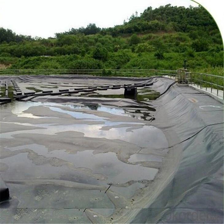 Fish Shrimp Farm Pond Liner