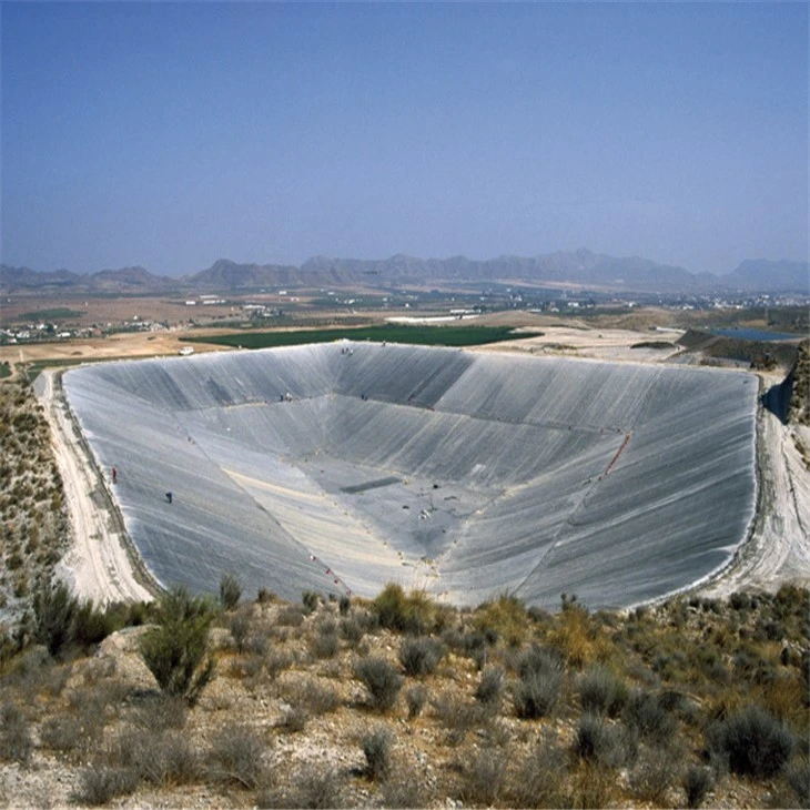 Geomembranes1014 Geomembranes1014