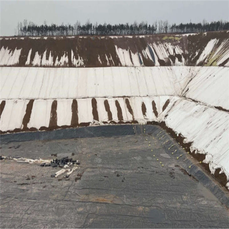 Geomembranes1015