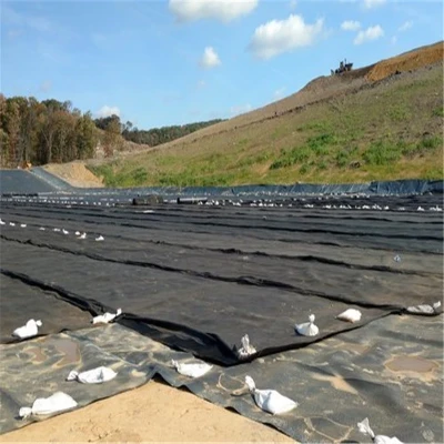 Geomembranes1018 Geomembranes1018