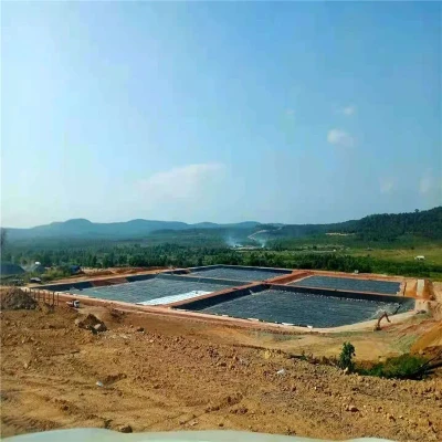 Geomembranes1019 Geomembranes1019