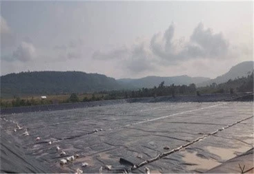 Geomembranes1119 Geomembranes1119