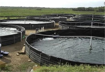 Geomembranes