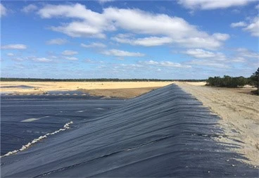Geomembranes Geomembranes