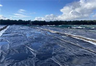 Geomembranes