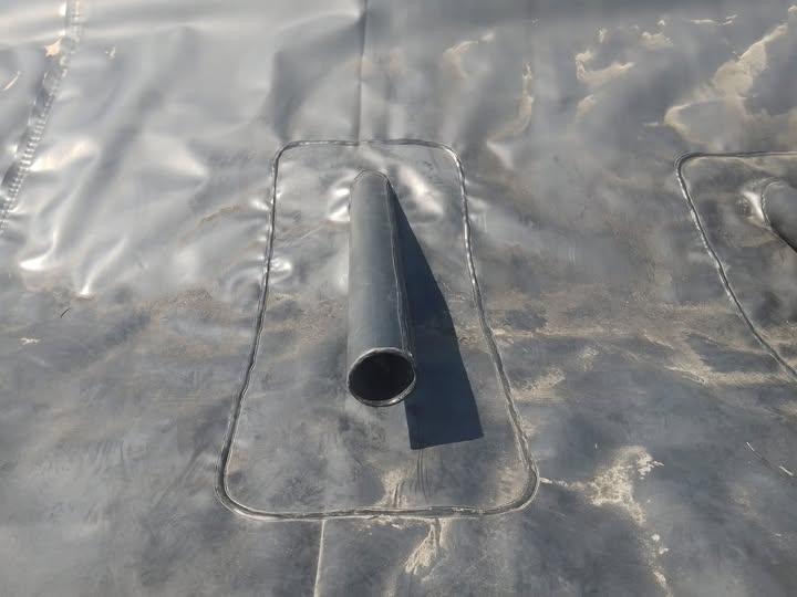 shripm pond liner