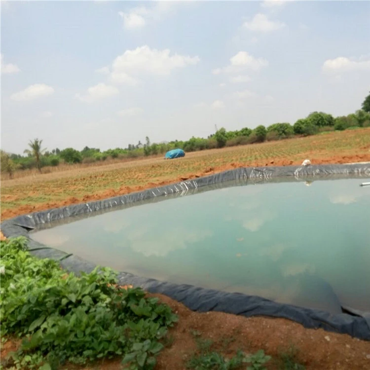 Geomembranes2329