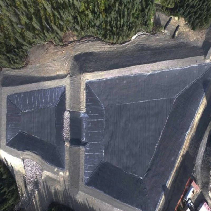 Geomembranes1967 Geomembranes1967