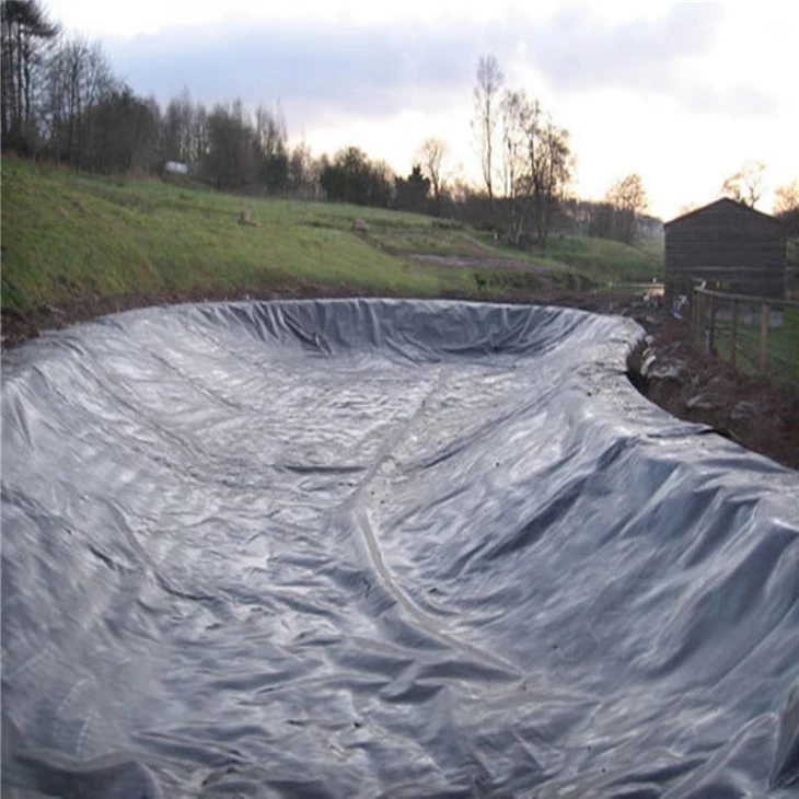Geomembranes1817 Geomembranes1817
