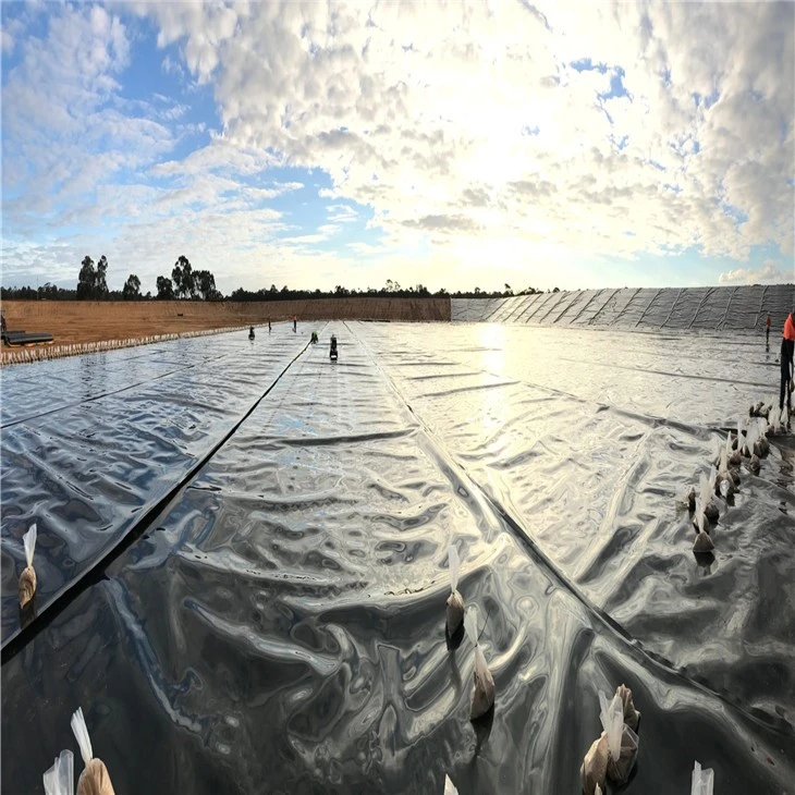 Geomembranes1294