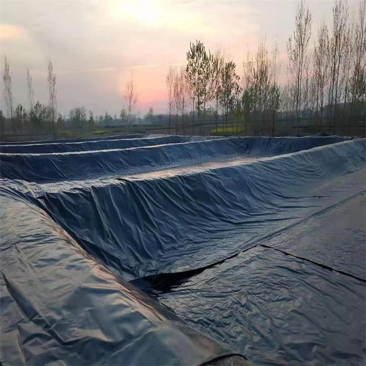 Geomembranes1438