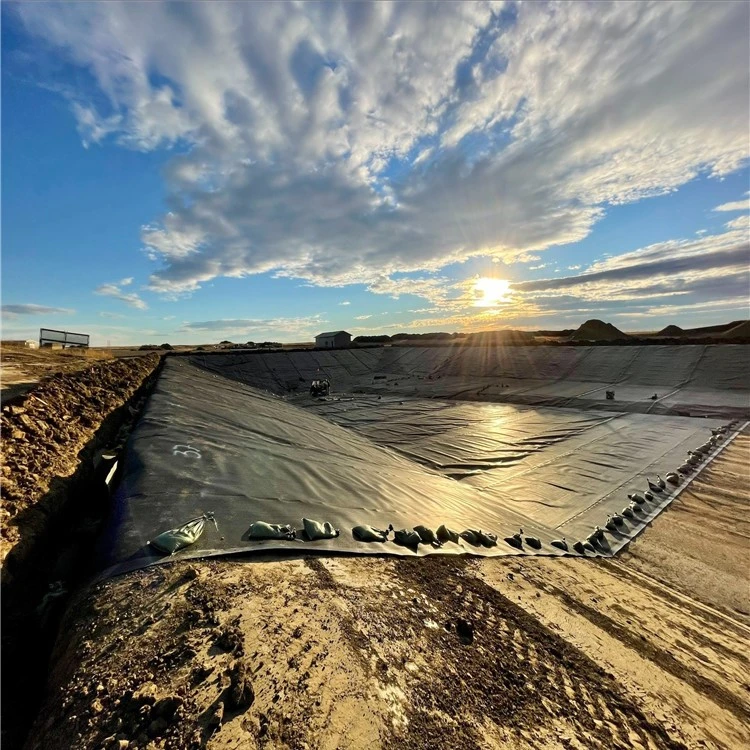 Geomembranes765