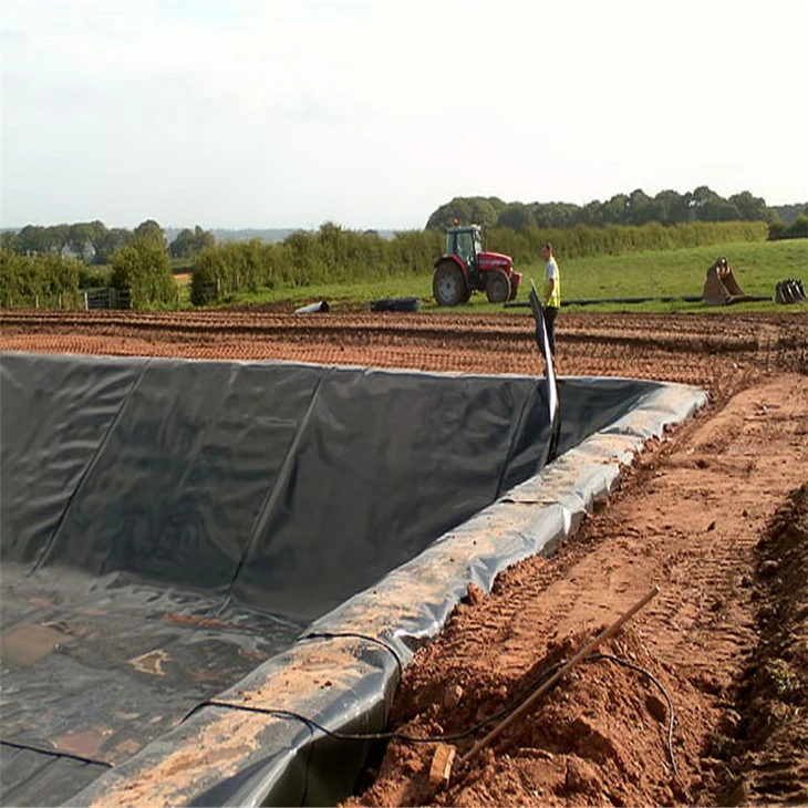 Geomembranes1176 Geomembranes1176