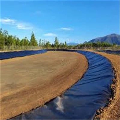 Durable Excellent HDPE Geomembrane