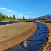 Durable Excellent HDPE Geomembrane