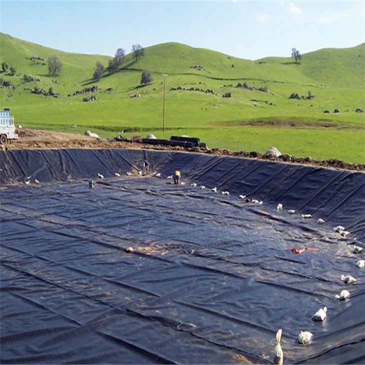 Waterproofing Geomembrane Liner